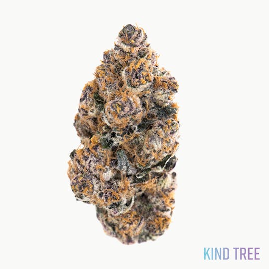 Kind Tree - Beach Grapes - 1