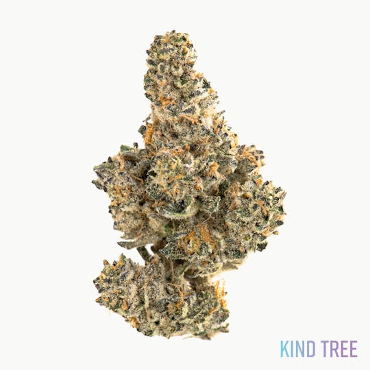 Kind Tree - Better Min - 1