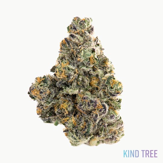 Kind Tree - Chem Chillz - 1