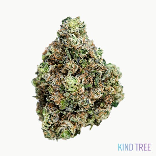 Kind Tree - Chrome Slipper 99 - 1