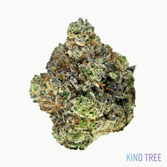 Kind Tree - Gorilla Chem - 1
