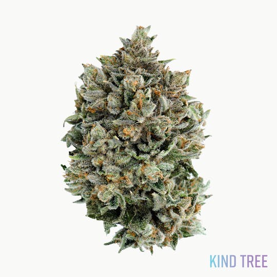 Kind Tree - Half Pint - 1