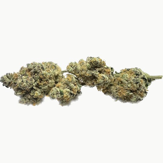 7 Leaf - Rated-R - 1