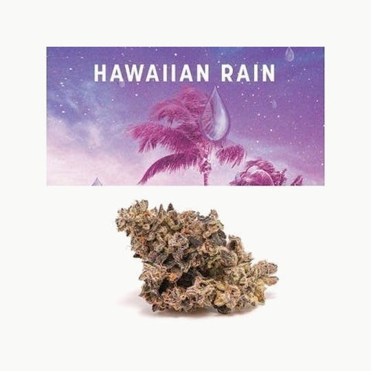 Cookies - Cookies - 3.5G - Hawaiian Rain - 1
