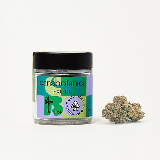 Canabotanica - Purple Cream - 3.5g - Indoor Flower - 1