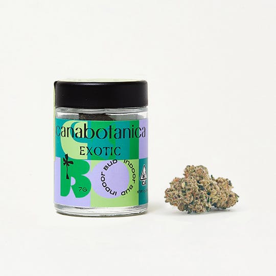 Canabotanica - Purple Cream - 7g - Smalls - Indoor Flower - 1