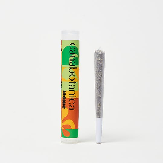 Canabotanica - Sour Cream - 1g - Indoor Pre-Roll - 1