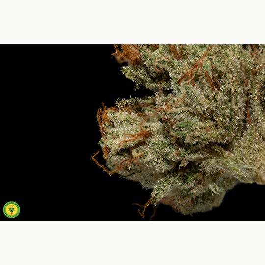 Firefly Organics - Motorbreath #15 - 1