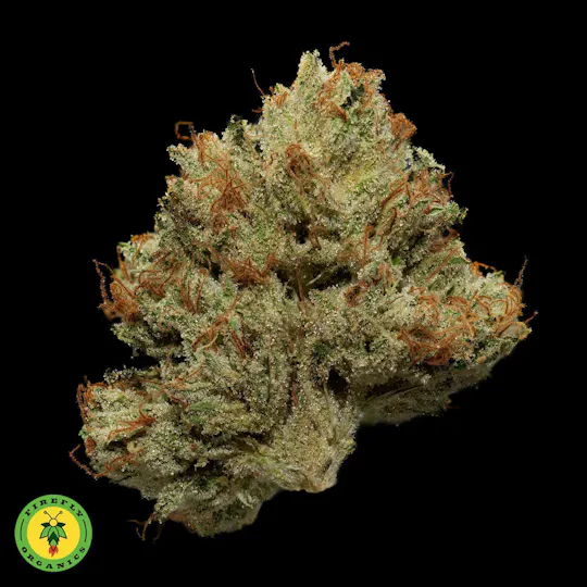 Firefly Organics - Firefly Organics | Motorbreath #15 | Big Buds | 3.5g - 1