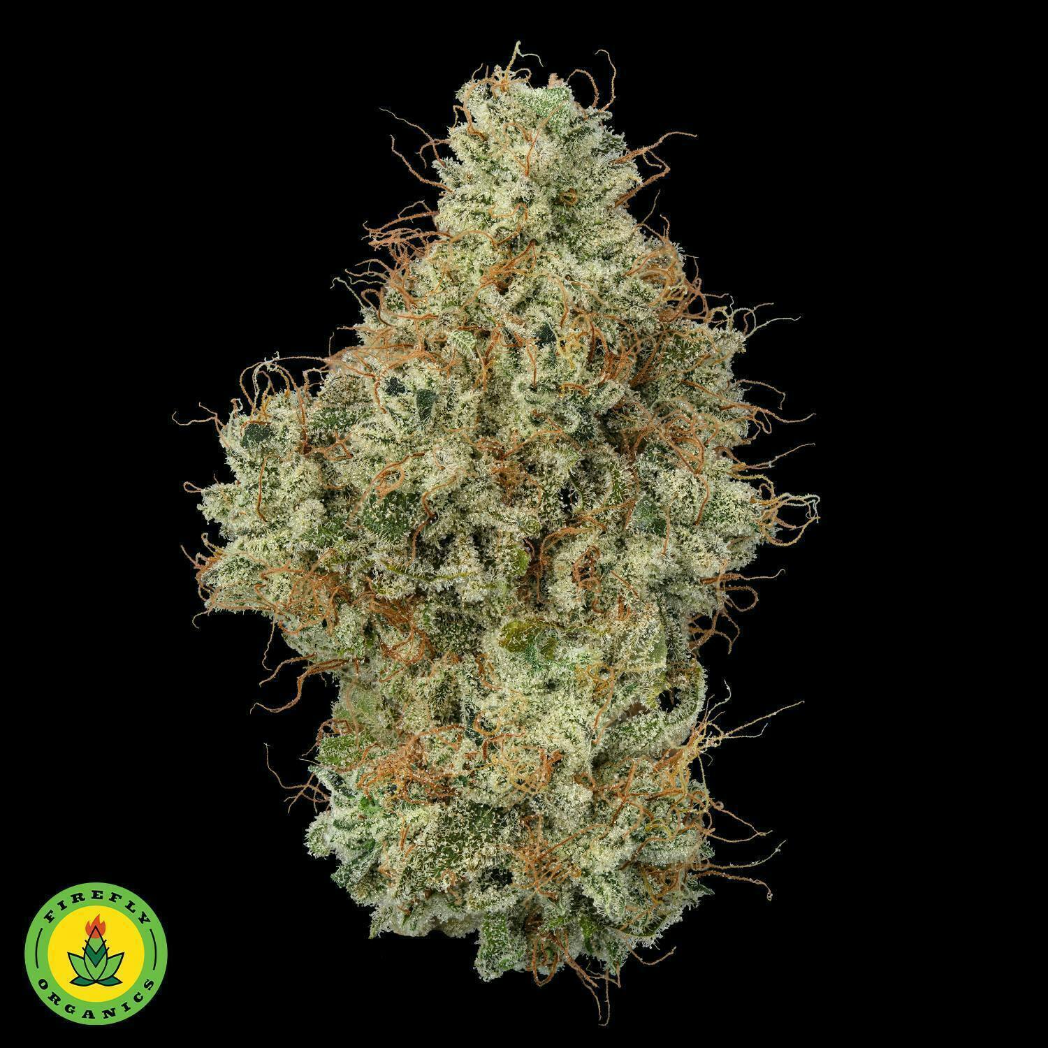 Firefly Organics - Firefly Organics | Albariño | Big Buds | 3.5g - 1