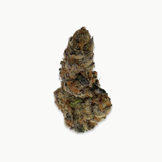 Indico - Fiji Sunset -Unicorn Tears - 1
