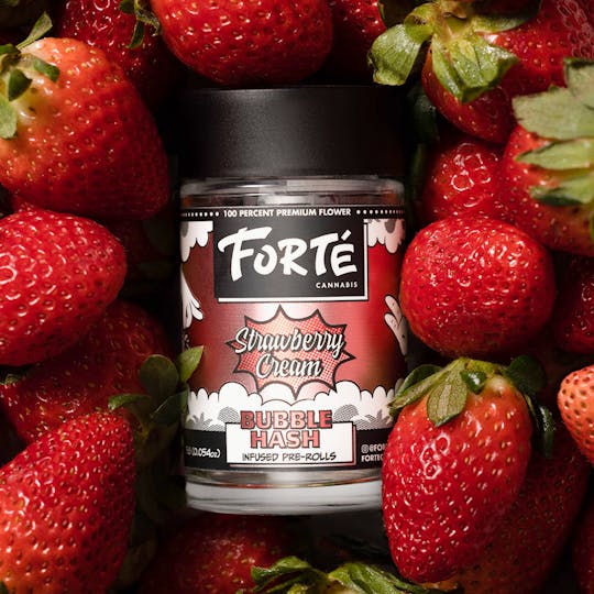 Forte Cannabis - Strawberry Cream Bubble Hash Infused Pre-Rolls (3 Pack) - 1