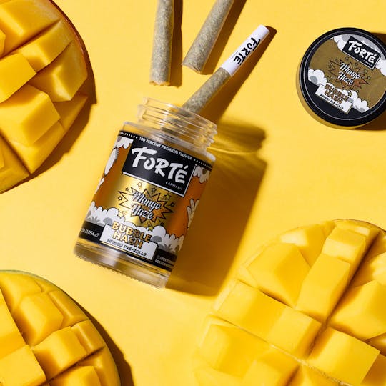 Forte Cannabis - Mango Haze Bubble Hash Infused Pre Rolls (3 Pack) - 1