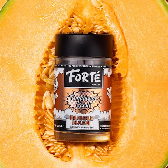 Forte Cannabis - Cantaloupe Crush Bubble Hash Infused Pre Rolls (3 Pack) - 1