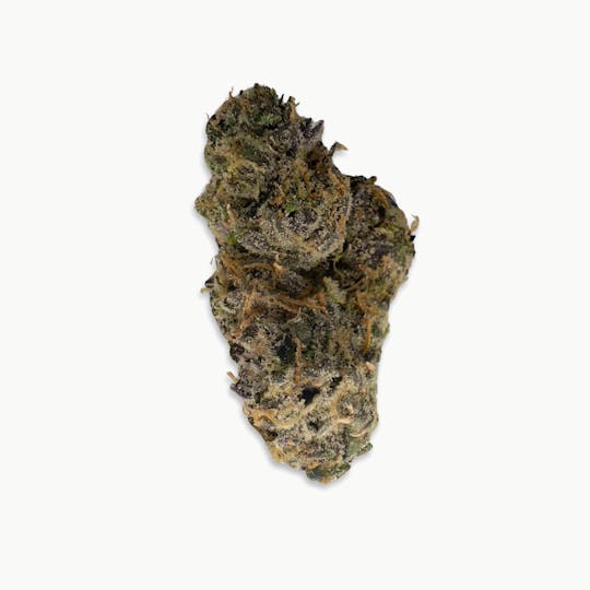 Indico - Eternity -Bungludetch Farms - 1
