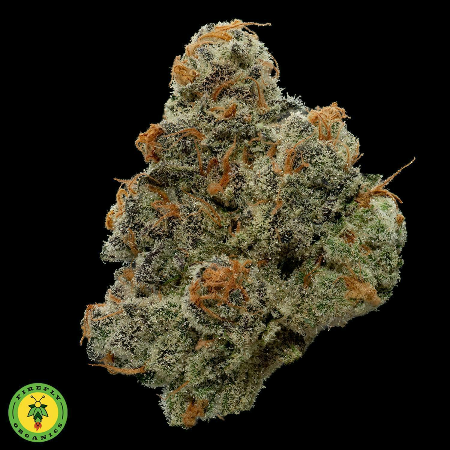 Firefly Organics - Firefly Organics | MacRib | Big Buds | 3.5g - 1