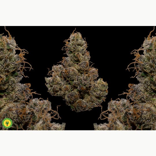 Firefly Organics - Purple Marmalade - 1