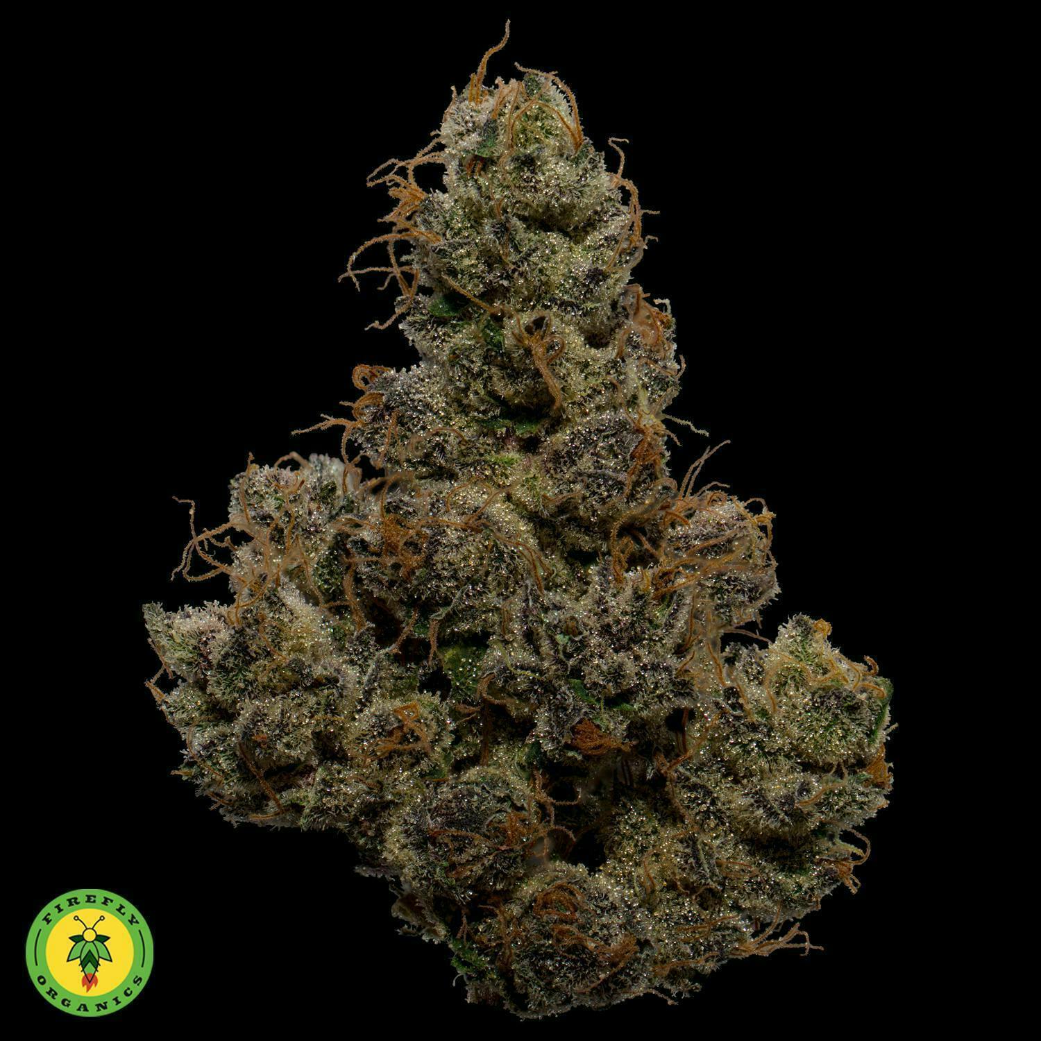 Firefly Organics - Firefly Organics | Purple Marmalade | Big Buds | 3.5g - 1