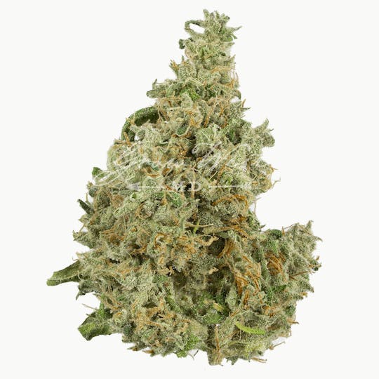 Grow West Cannabis Company - Cherry AK-47 | Premium | Hand-Trimmed Flower - 1