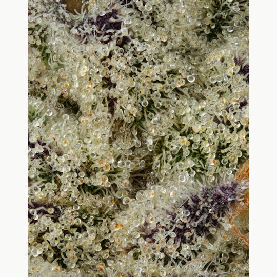 Firefly Organics - Wedding Pie - 1