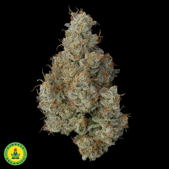 Firefly Organics - Fiirefly Organics | Wedding Pie | Big Buds | 3.5g - 1
