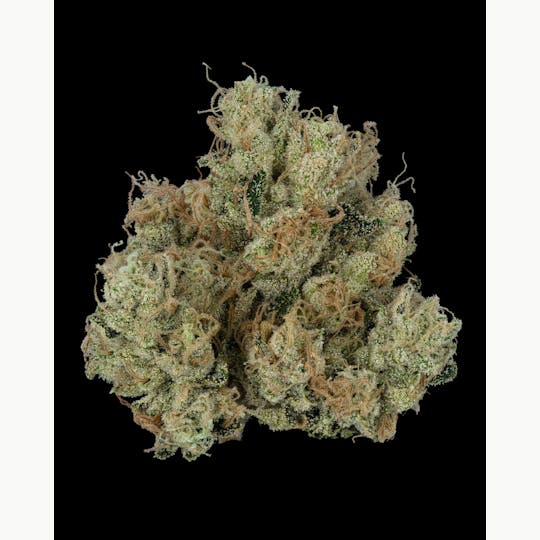 Firefly Organics - TKO - 1