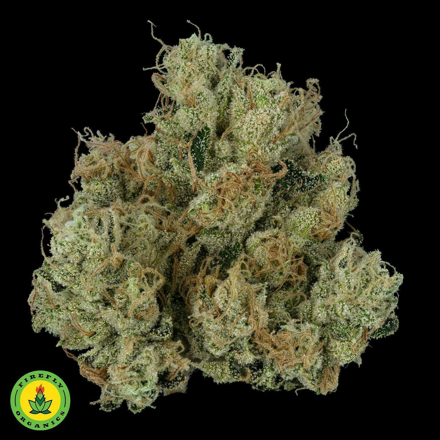Firefly Organics - Firefly Organics | TKO | Big Buds | 3.5g - 1