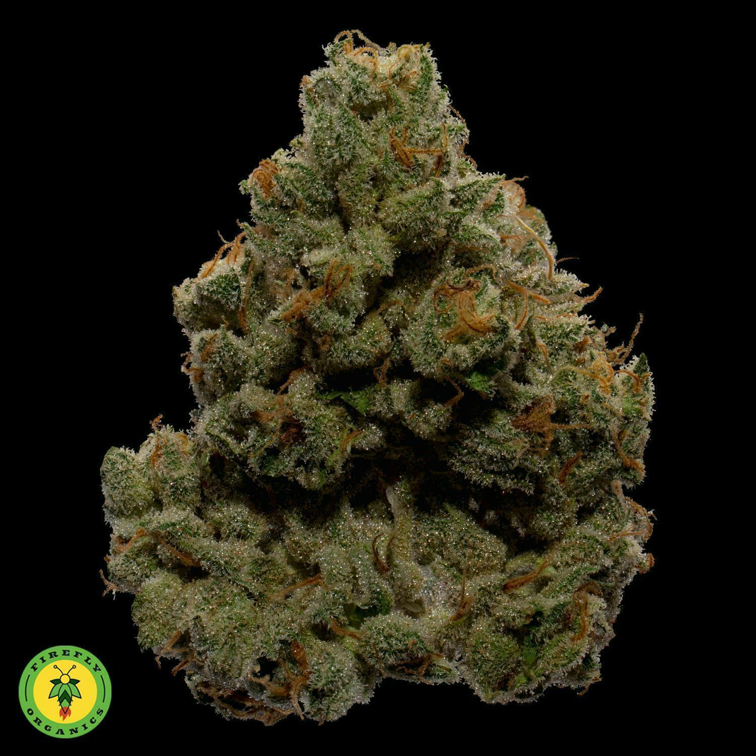 Firefly Organics - Firefly Organics | OVM | Big Buds | 3.5g - 1
