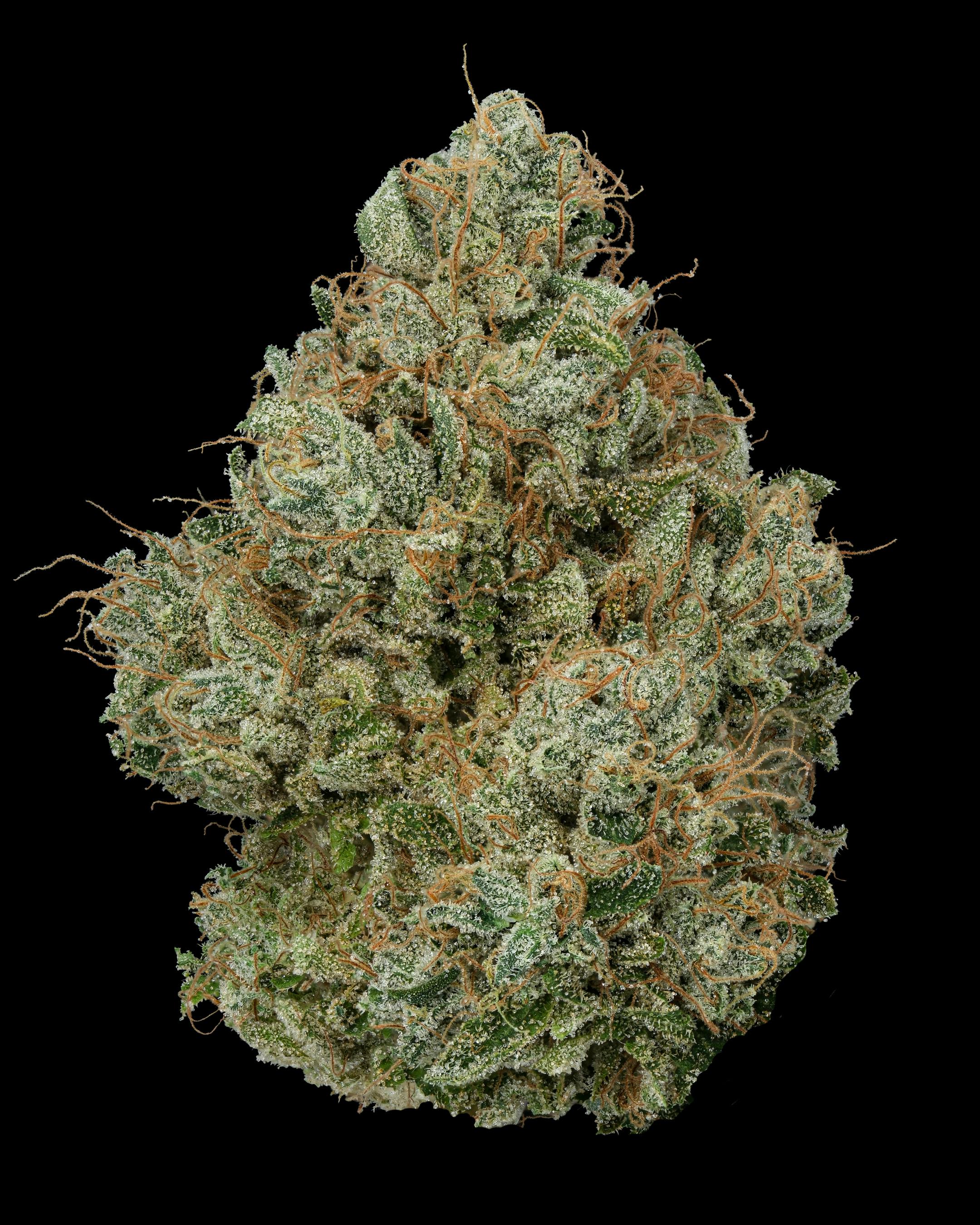 Firefly Organics - Candy Fumez - 1