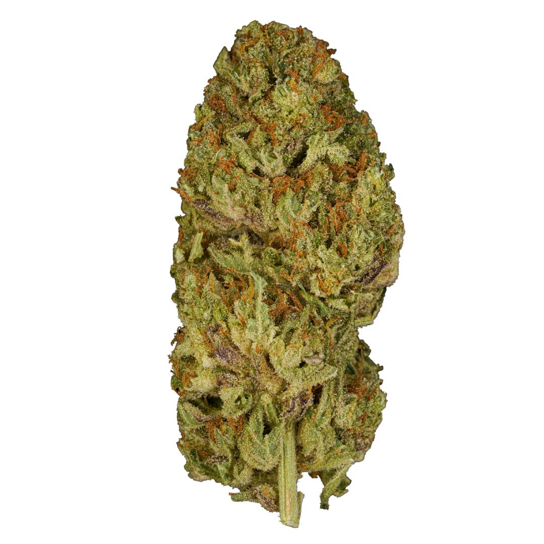 Humo - HUMO CORP | Cabrona | Flower | 14g - 1
