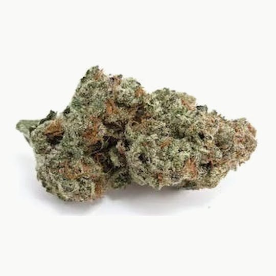 Primitiv - Horchata | 3.5g Flower - 1