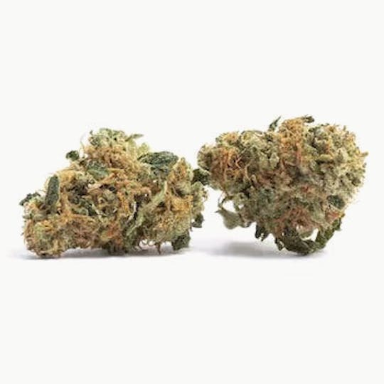 Primitiv - Peanut Butter Souffle | 3.5g Flower - 1