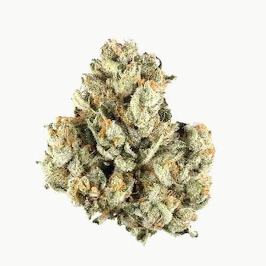 Primitiv - Grape Stomper OG | 3.5g Flower - 1