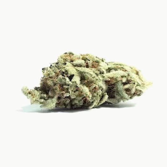 Primitiv - Rocket Fuel | 3.5g Flower - 1