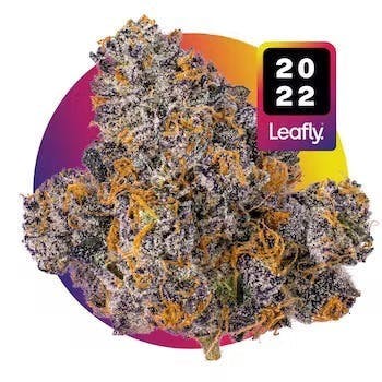 Primitiv - Jealousy | 3.5g Flower - 1