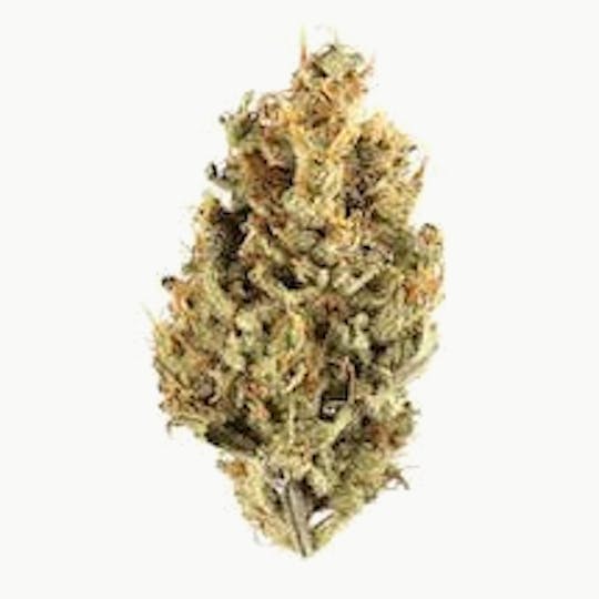 Primitiv - Gushers | 3.5g Flower - 1