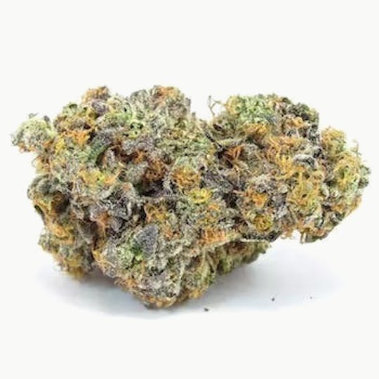 Primitiv - Gary Payton | 3.5g Flower - 1