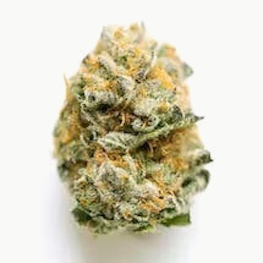 Primitiv - Jet Fuel Gelato | 3.5g Flower - 1