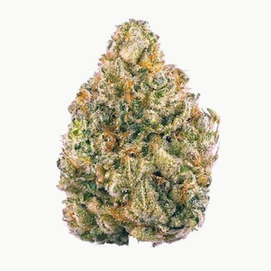 Primitiv - Tropicana Banana | 3.5g Flower - 1