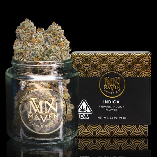 Maven Genetics - Ube Crème - 1