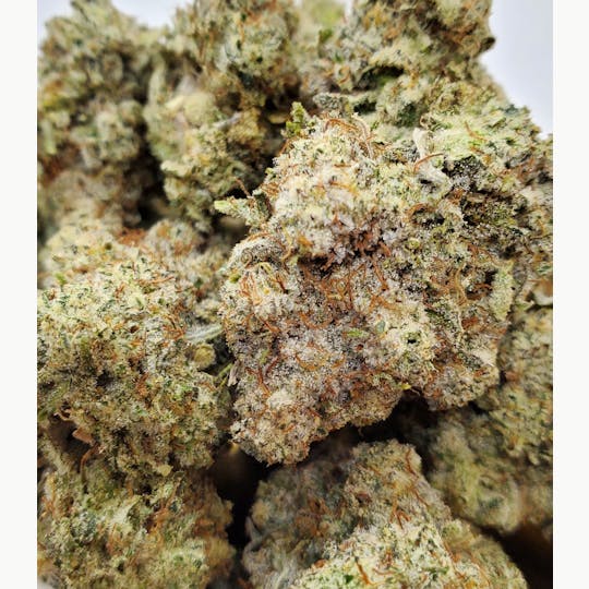 World Class Cannabis - Super Glue OG 14g - 1