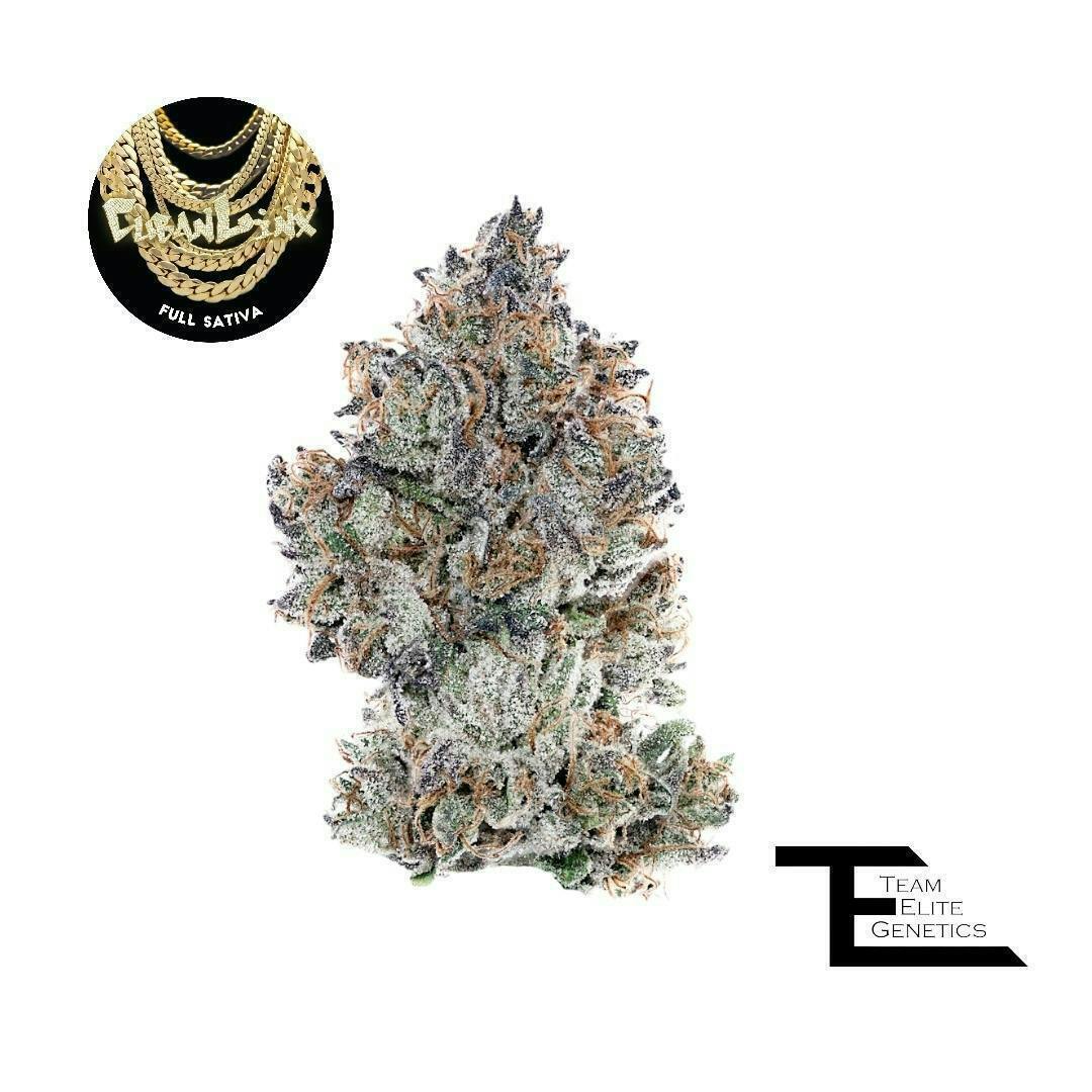 Team Elite Genetics - Cuban Linx | Big Buds | 3.5g - 1