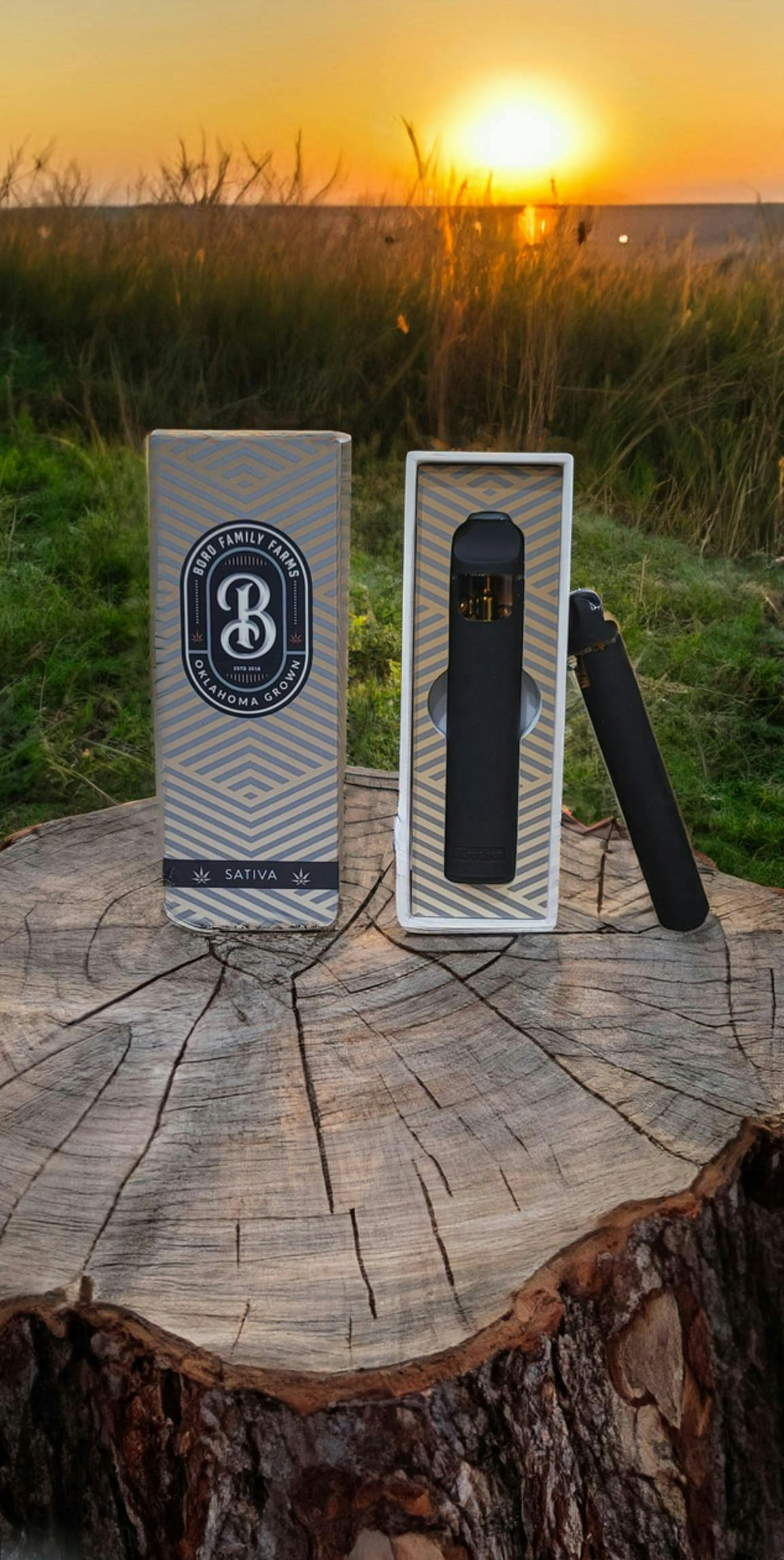 Boro Family Farms - Tropicali - Live Resin Disposable - 1g - 1