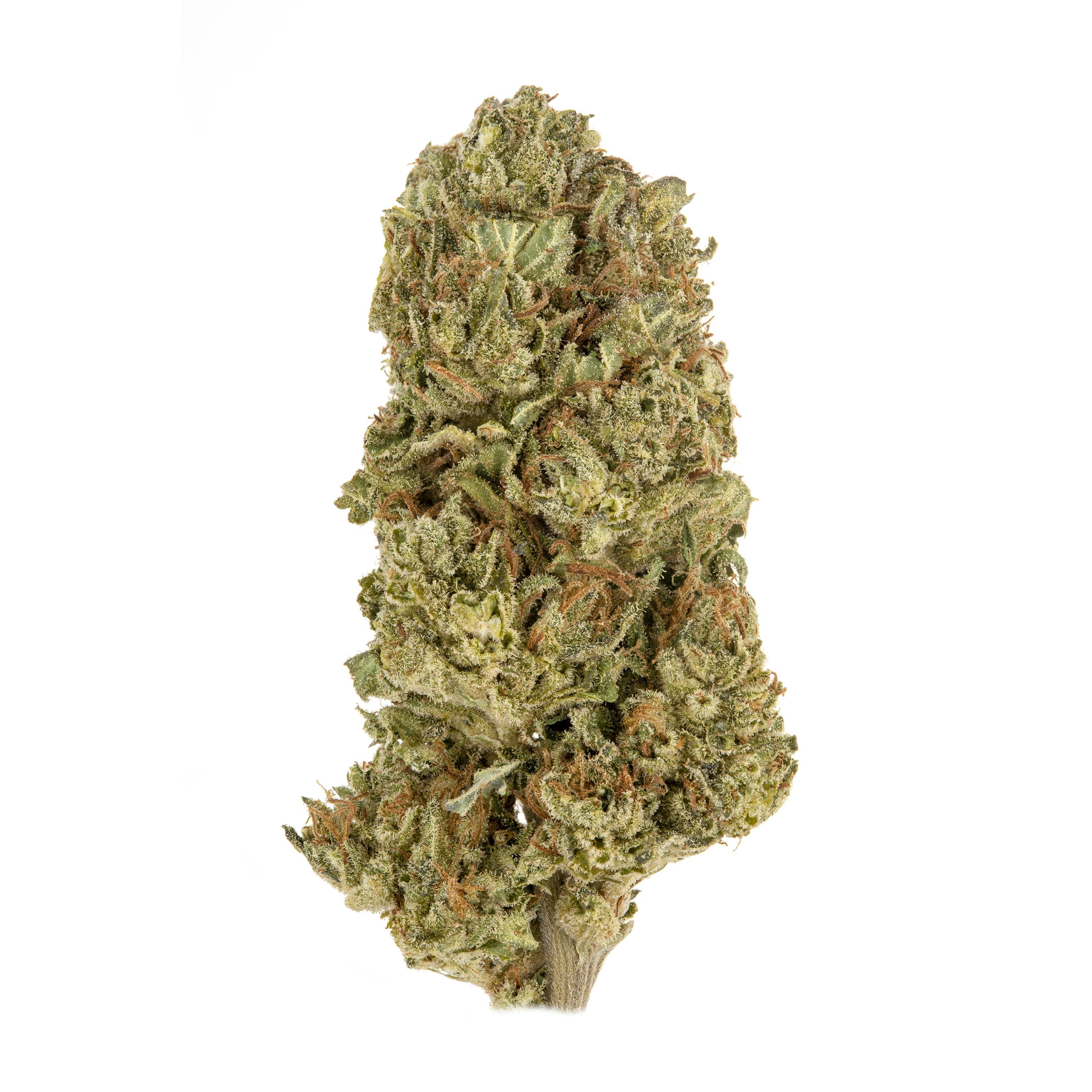 Casacanna - Garlotti Half Ounce - 1