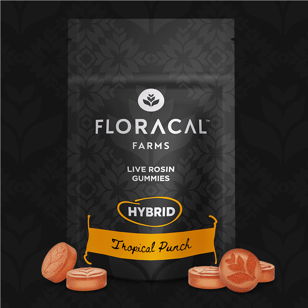 FloraCal Farms - Tropical Punch | Hybrid Live Rosin Gummies 100mg [10pk] - 1