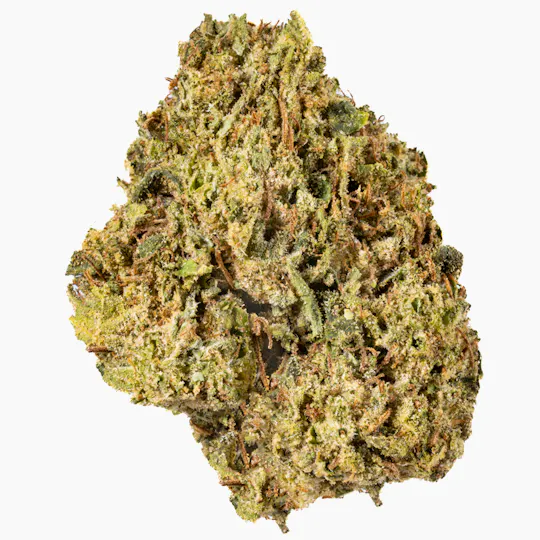 West Coast Cure - White Runtz 3.5G Premium Flower - 1