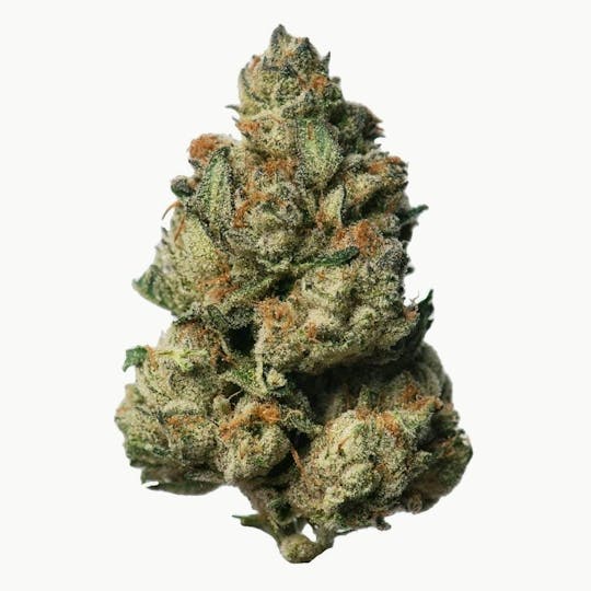 Proper Cannabis - Proper Cannabis - Trunk Funk - 1