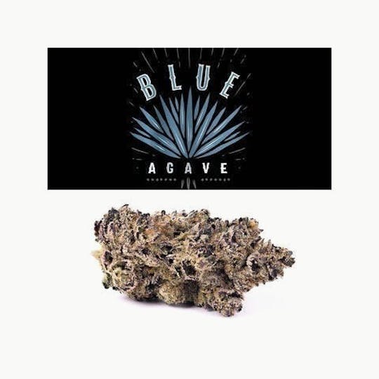 Cookies - Cookies - Blue Agave - 1