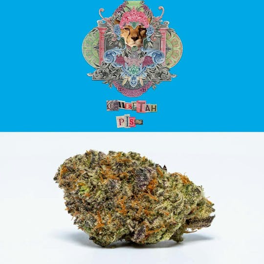 Cookies - Cookies - Cheetah Piss - 1