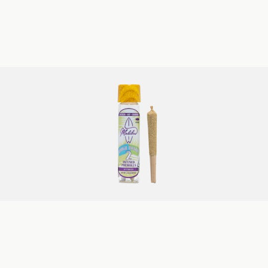 Malibu Premium Cannabis - Boogie Boards | Malibu's Most Wanted | 2pk Infused Prerolls 1.4g - 1